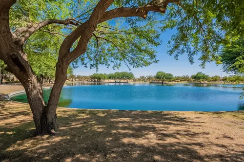 Homestead North in Maricopa, Arizona